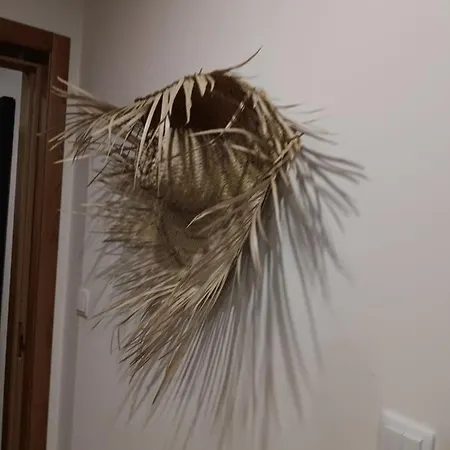 Douro E Passadicos Do Paiva House *