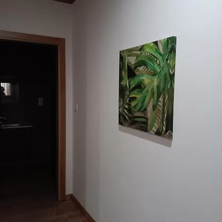 乡村民宿 Douro E Passadicos Do Paiva House 辛方伊什