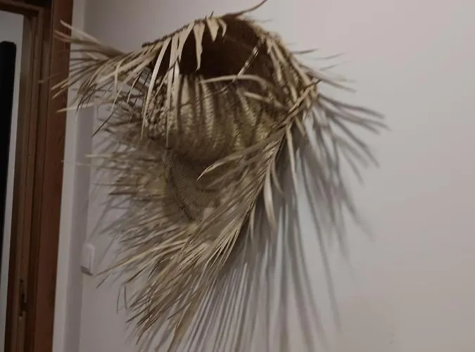 Douro E Passadicos Do Paiva House *